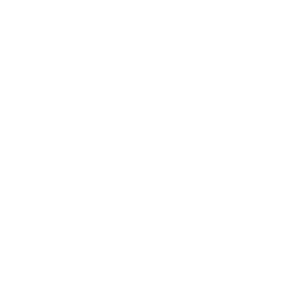 vin.touch logo v01 white